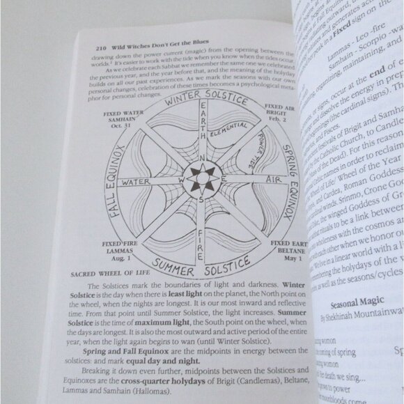 Wild Witches Don't Get The Blues Paperback Book Ffiona Morgan Wicca 1991 - Picture 5 of 9